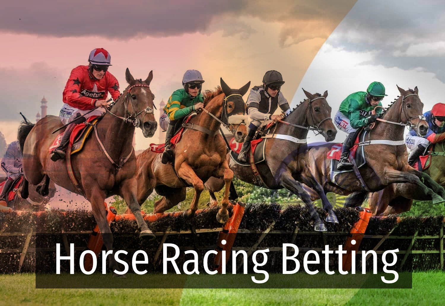Horse Racing Betting in India
